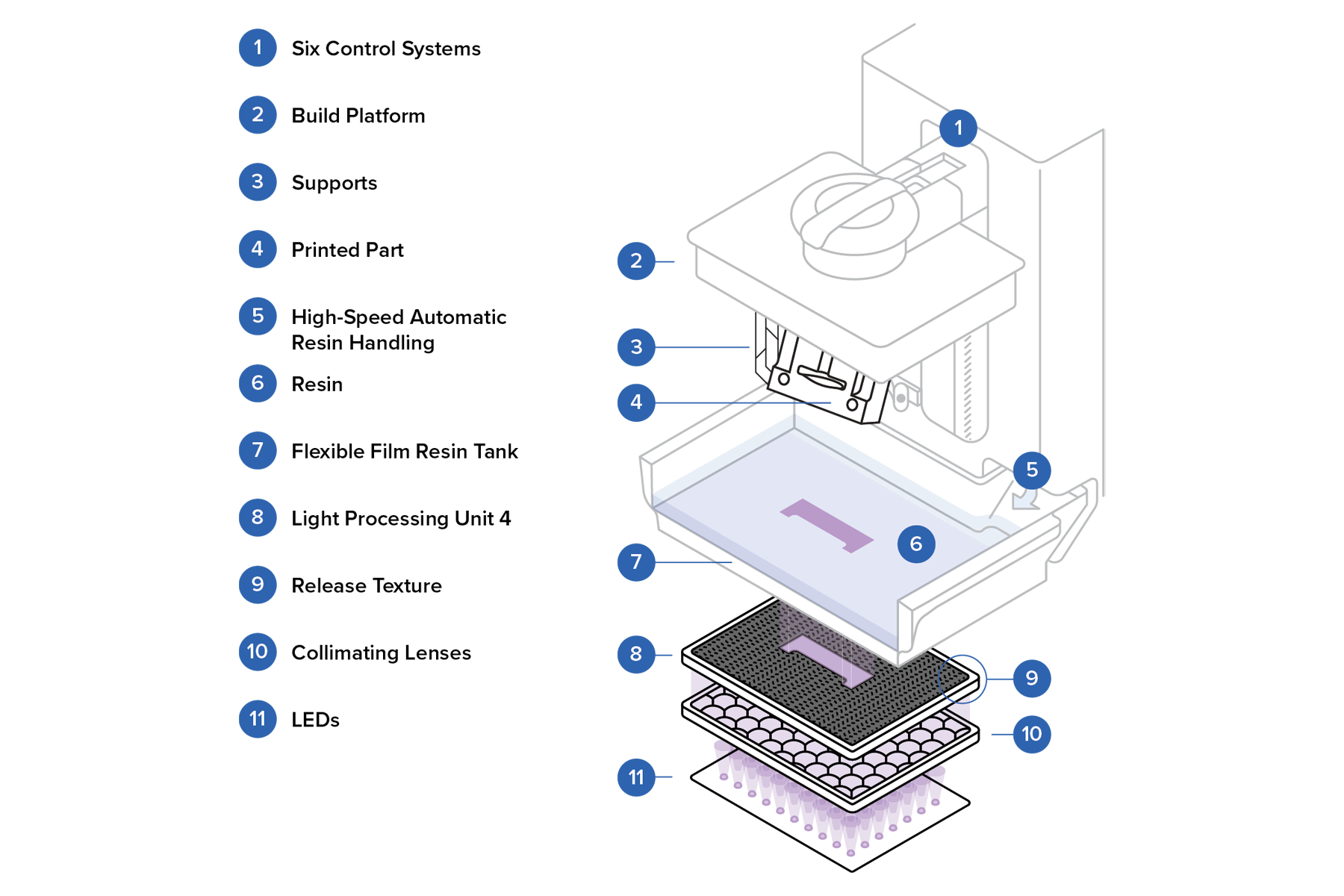 Diagram of Formlabs Low Force Display SLA print engine showing build platform, resin tank, and light processing unit
